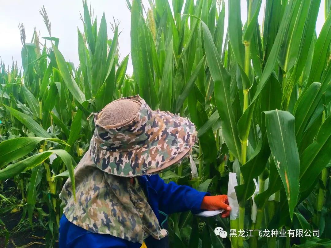 1640659406113823.jpg 3.jpg